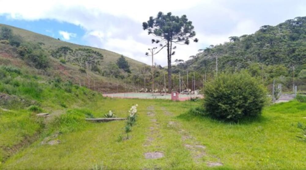 surroundings