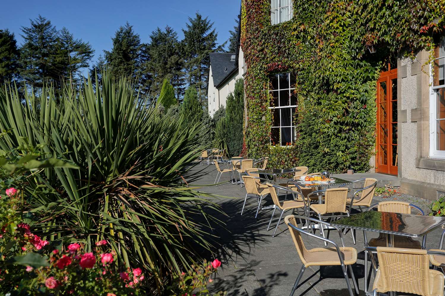 Best Western Balgeddie House Hotel 63/63