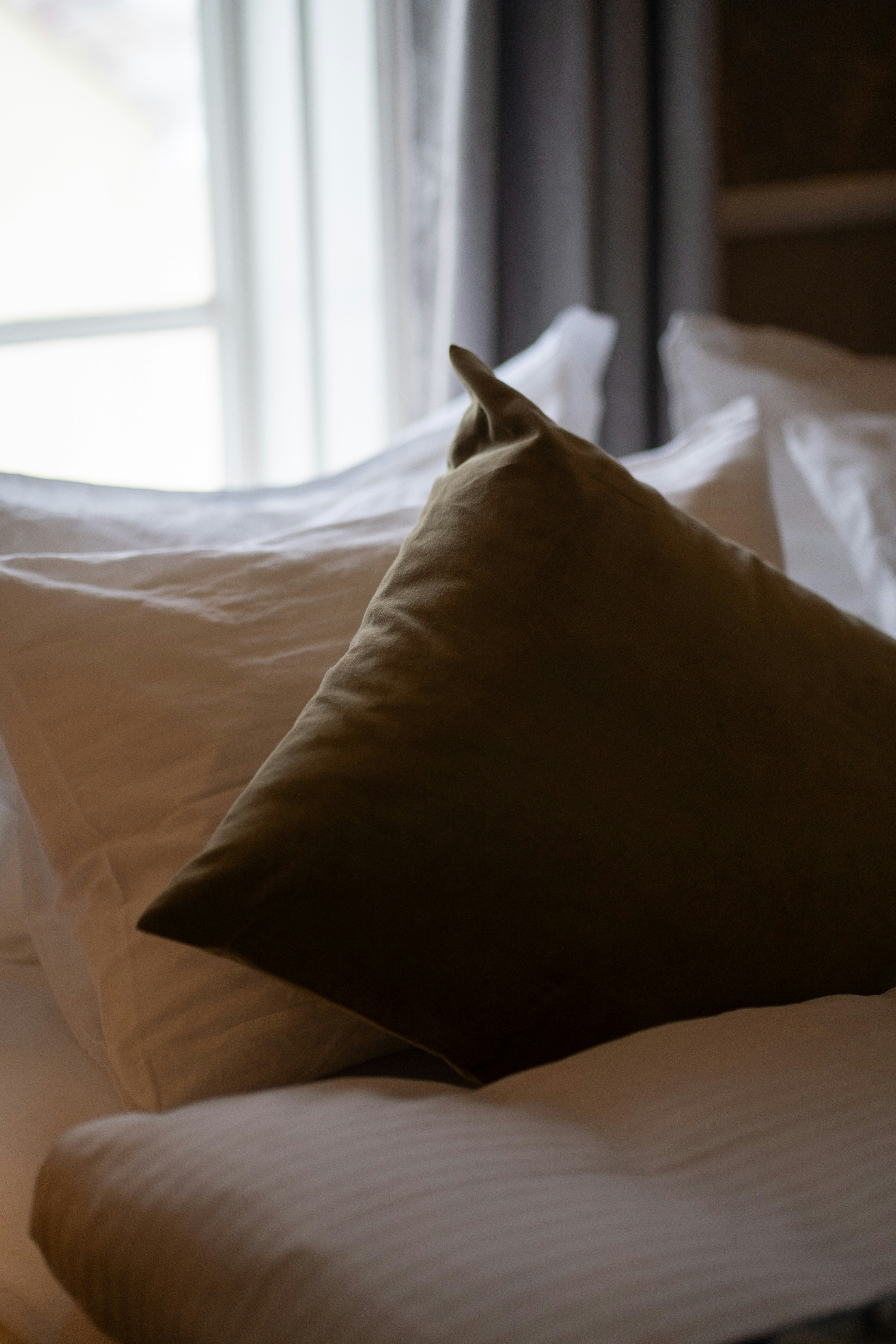 Hotel Blanda 23/50