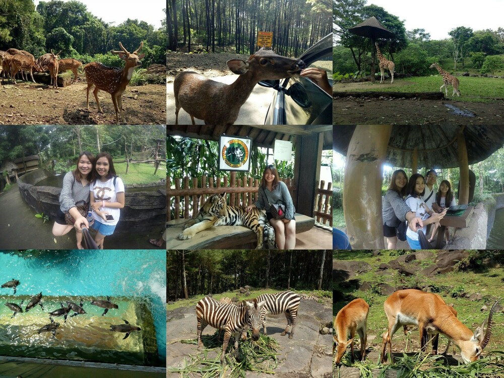 Gio Guesthouse Bogor 28/33