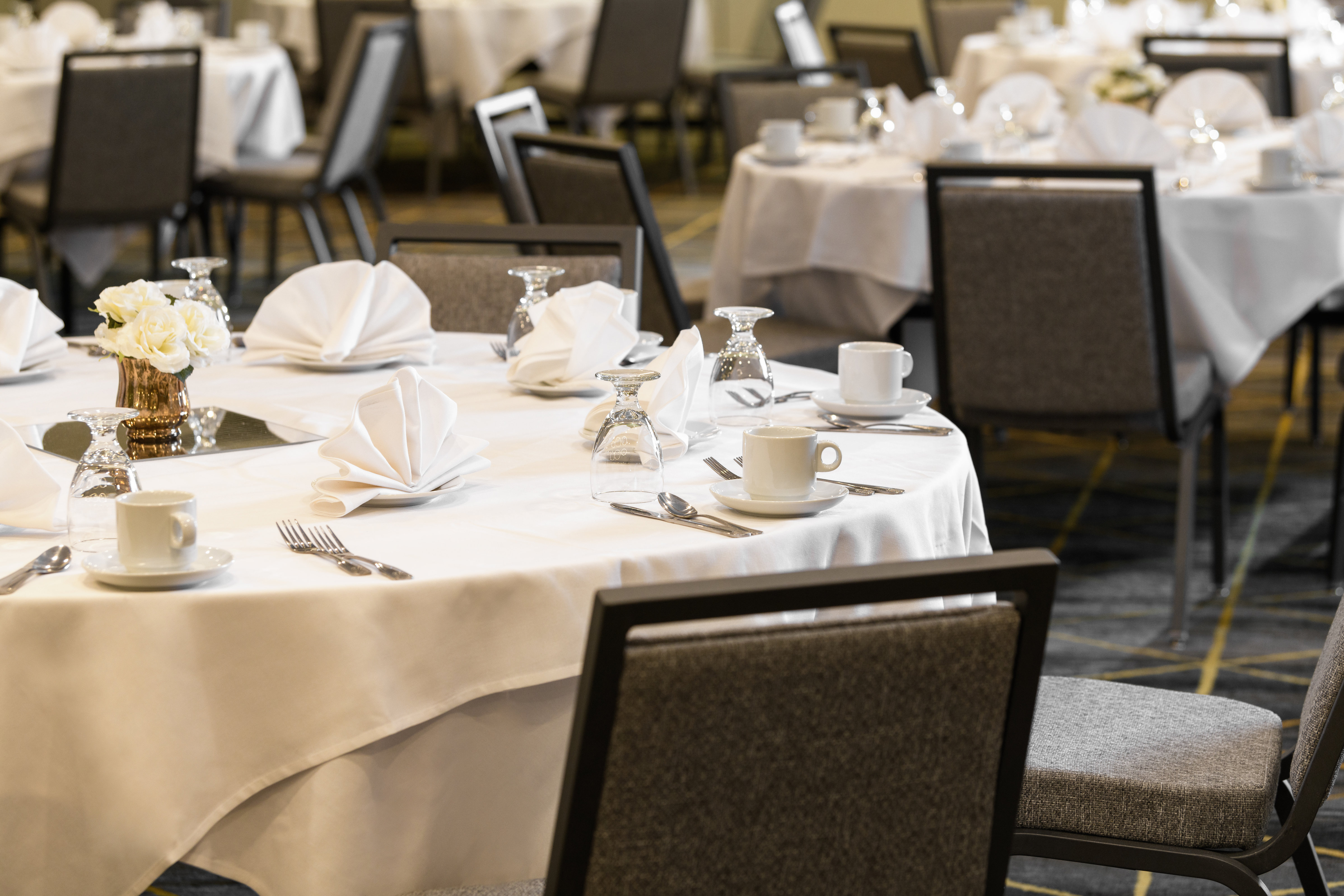 Holiday Inn Hotel Suites Oakland Airport 49/77