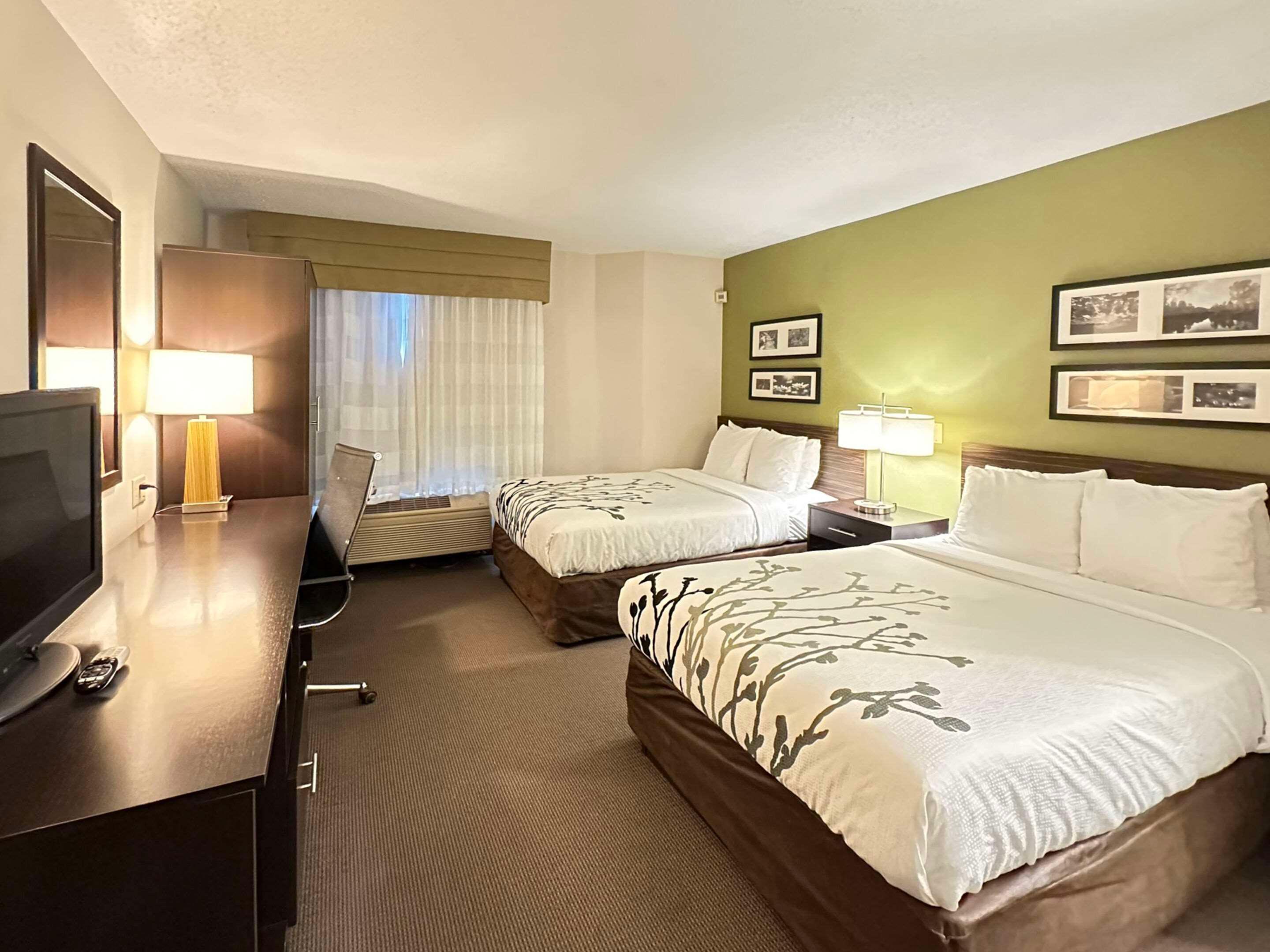 Room, Double Bed