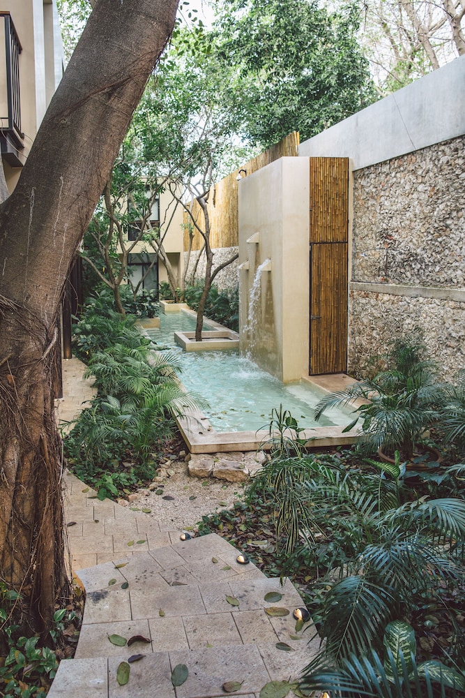 TreeHouse Boutique Hotel 24/50