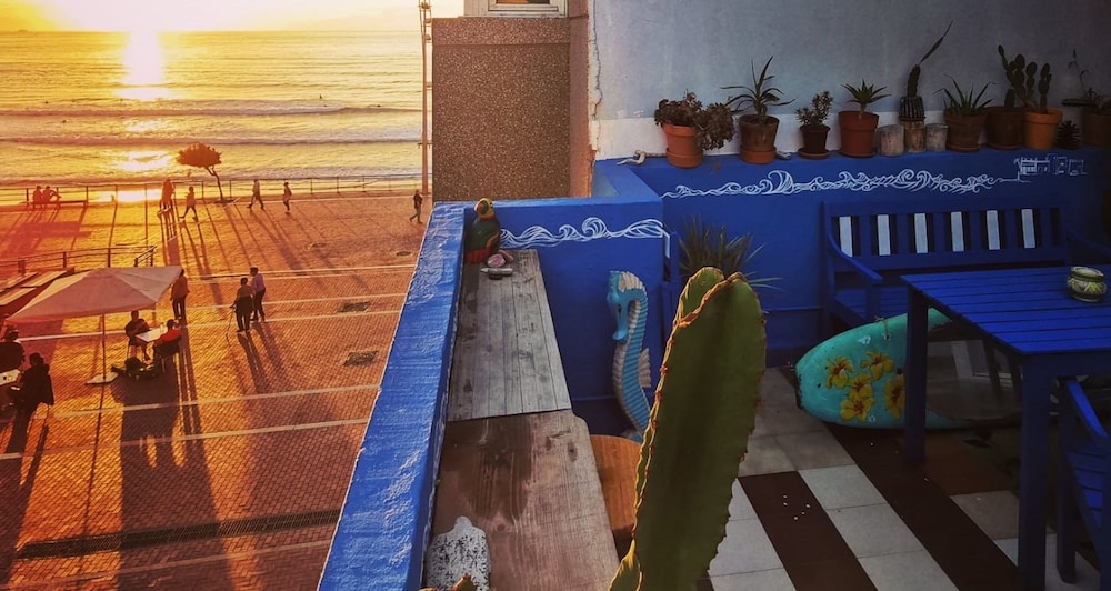 Avocado Surf Hostel 27/50