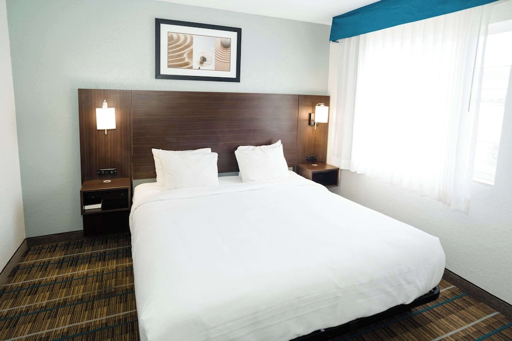 Suite, 23 King Beds, Sofa, Accessible