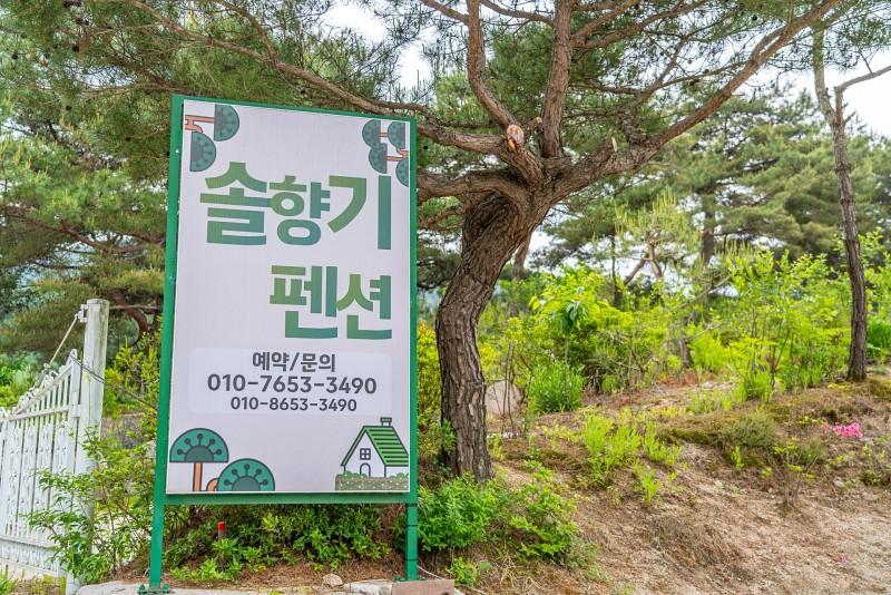 Pocheon Solhyanggi Pension 2/12