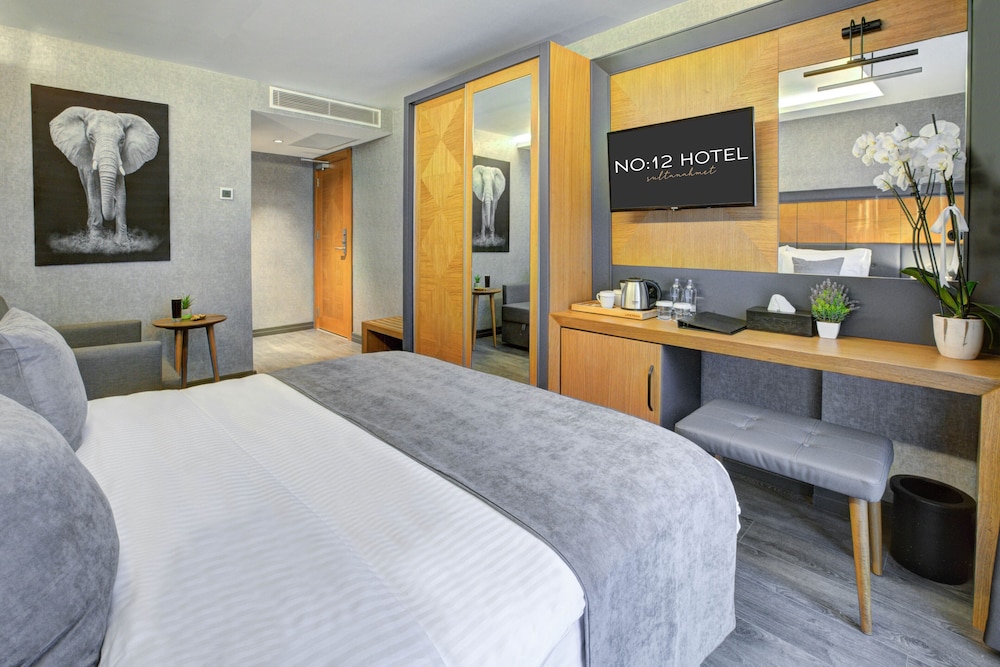 No:12 Hotel Sultanahmet 22/60