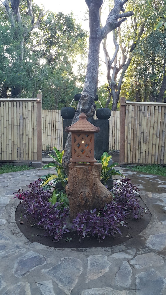 Mango Tree Inn 22/47
