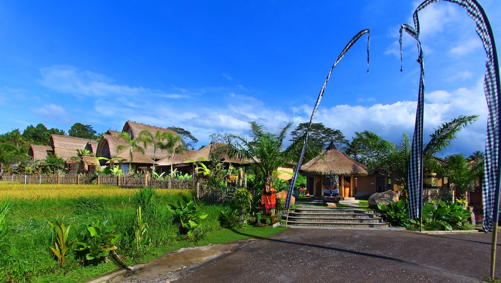 De Klumpu Bali Eco Tradi Stay 40/50