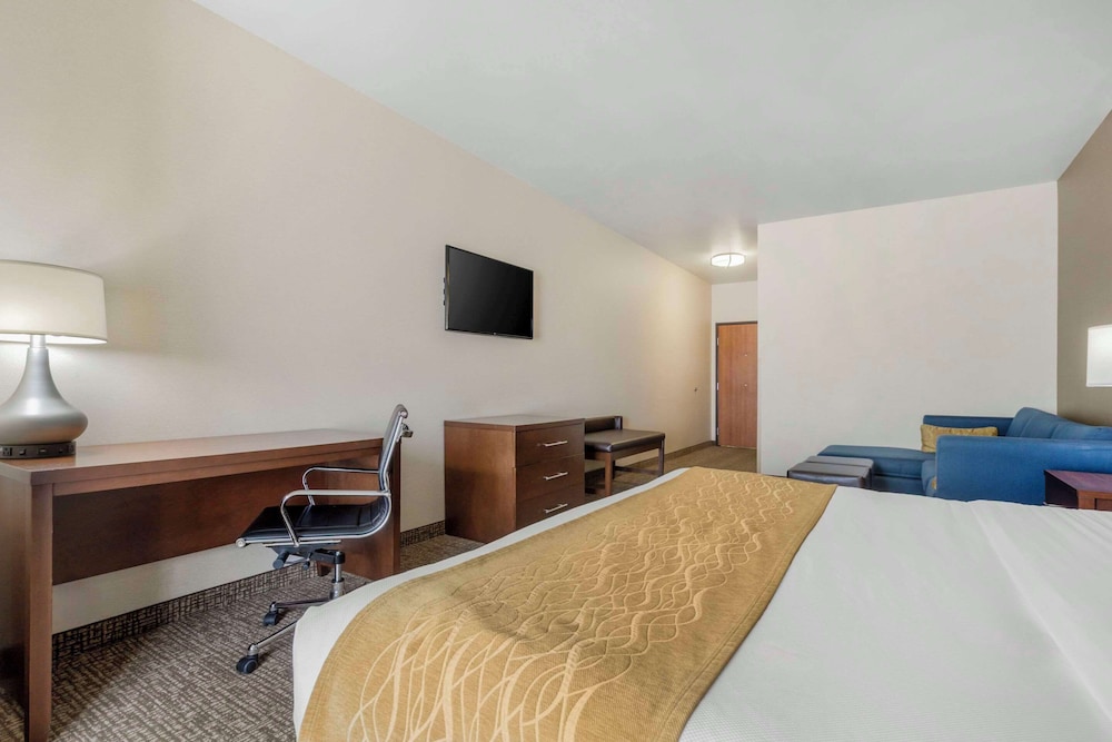 جناح بسرير كينج مع أريكة لذوي الإعاقة، Comfort Inn & Suites Mitchell I-90 3/5