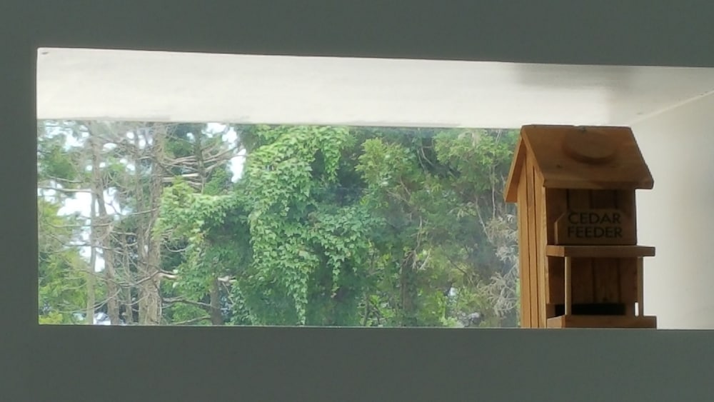 Jeju Meomuri 21/50