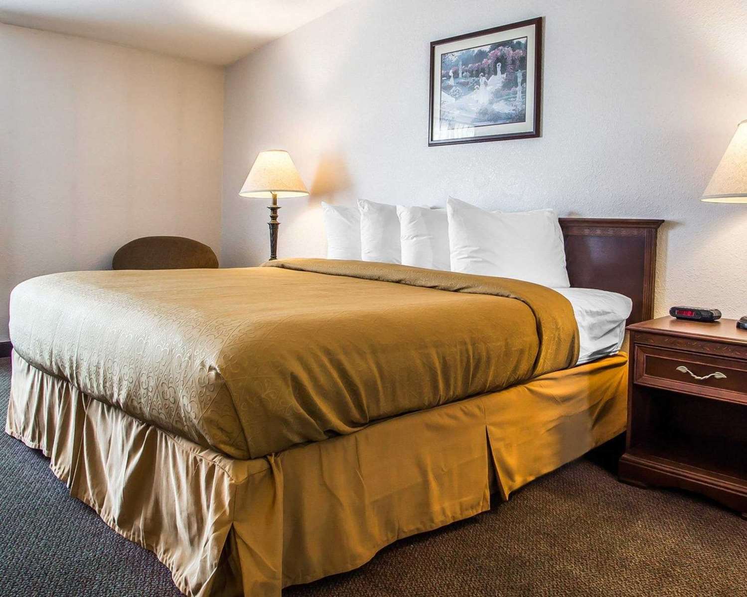 Efficiency, King Bed
