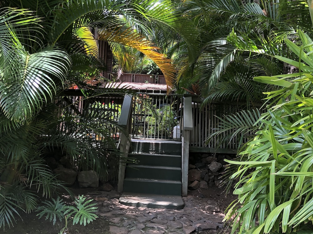 maui what a wonderful world b and b hawaii
