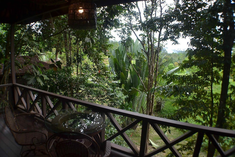 Sepilok Forest Edge Resort 33/39