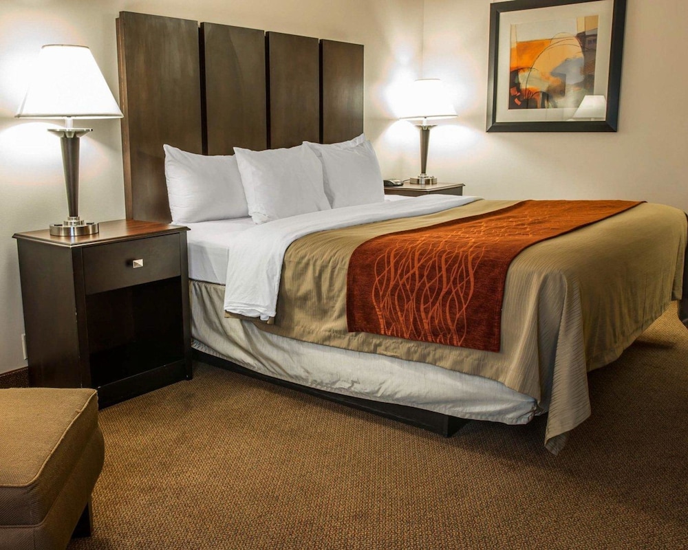 Comfort Inn and Suites Fenton MI 17/50