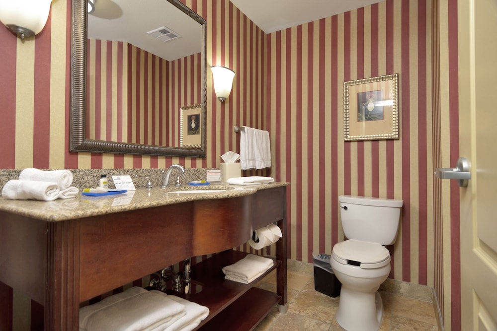 Holiday Inn Express Hotel And Suites Dfw West Hurst 23/74