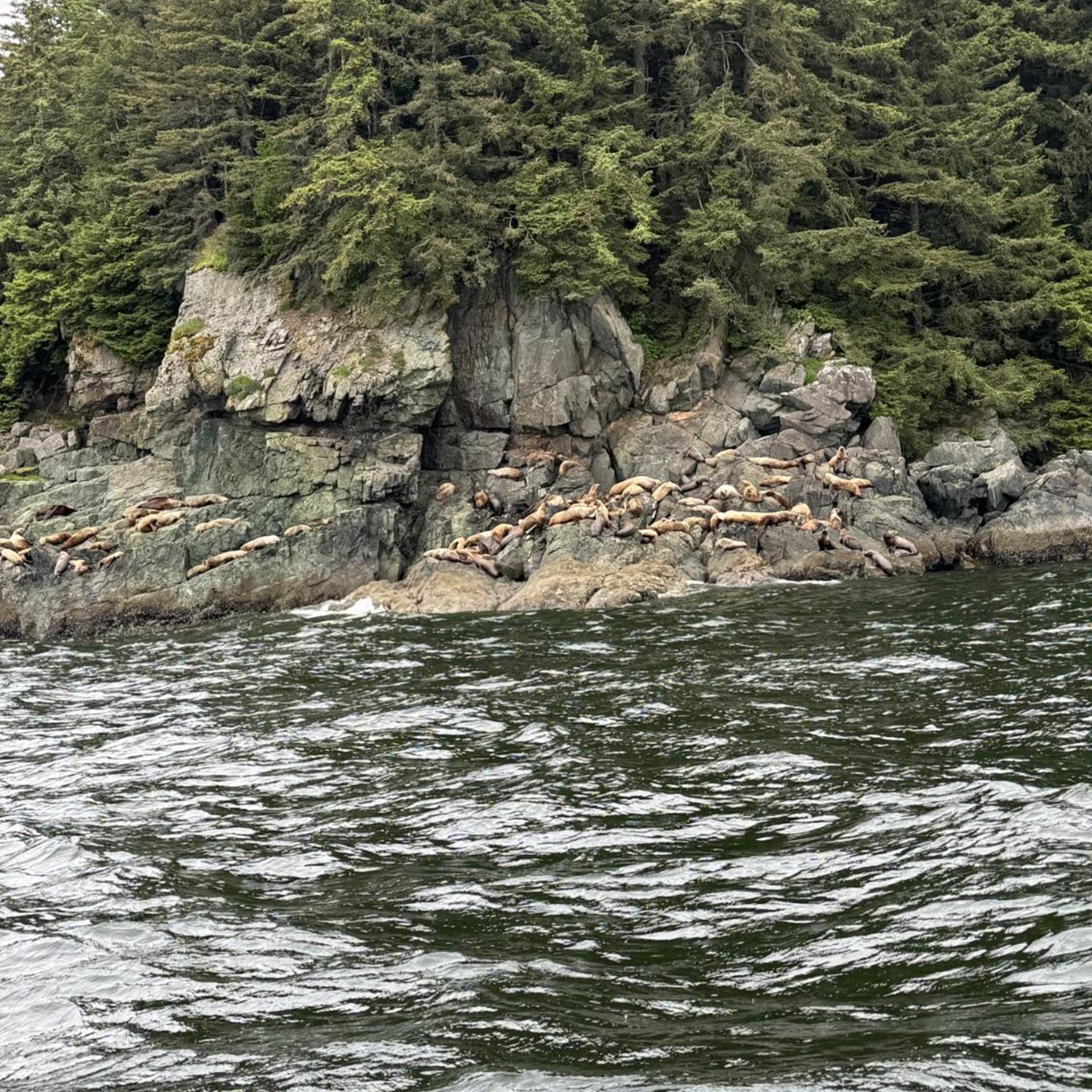 Waterfront on Glacier 39/50