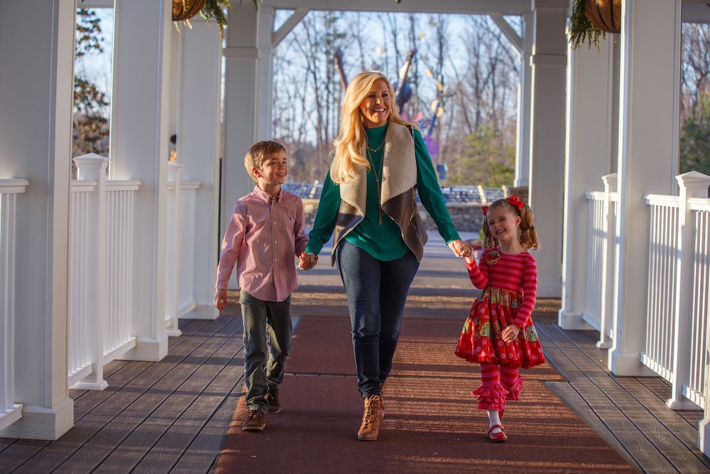 Dollywood S Dreammore Resort And Spa 10/71