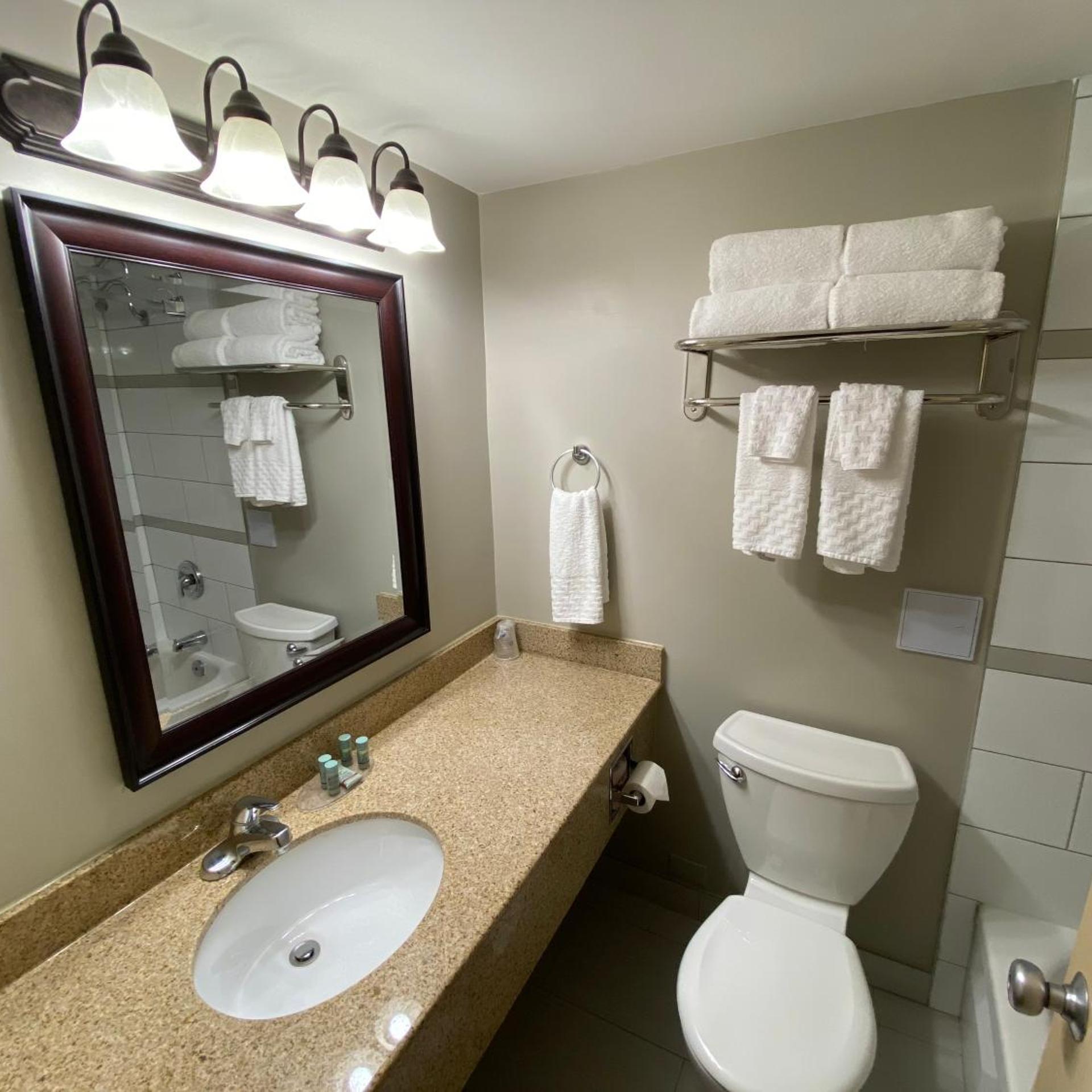 غرفة بسرير كينج مع أريكة، Best Western St Catharines Hotel Conference Centre 6/7