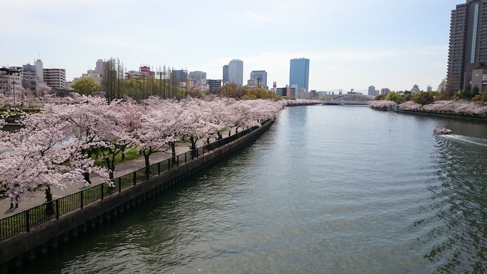 Hotel Noah Resort Sakura No Miya Adults Only 26/47