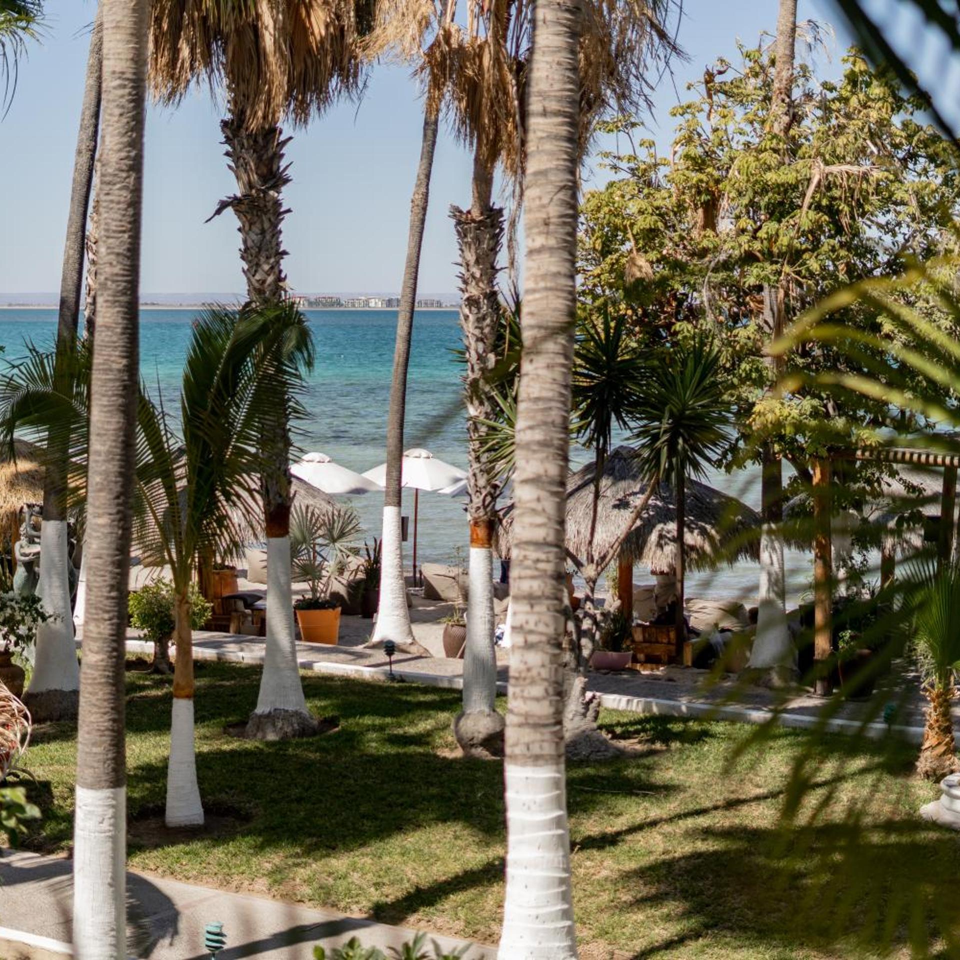 La Concha Beach Hotel & Club 39/50