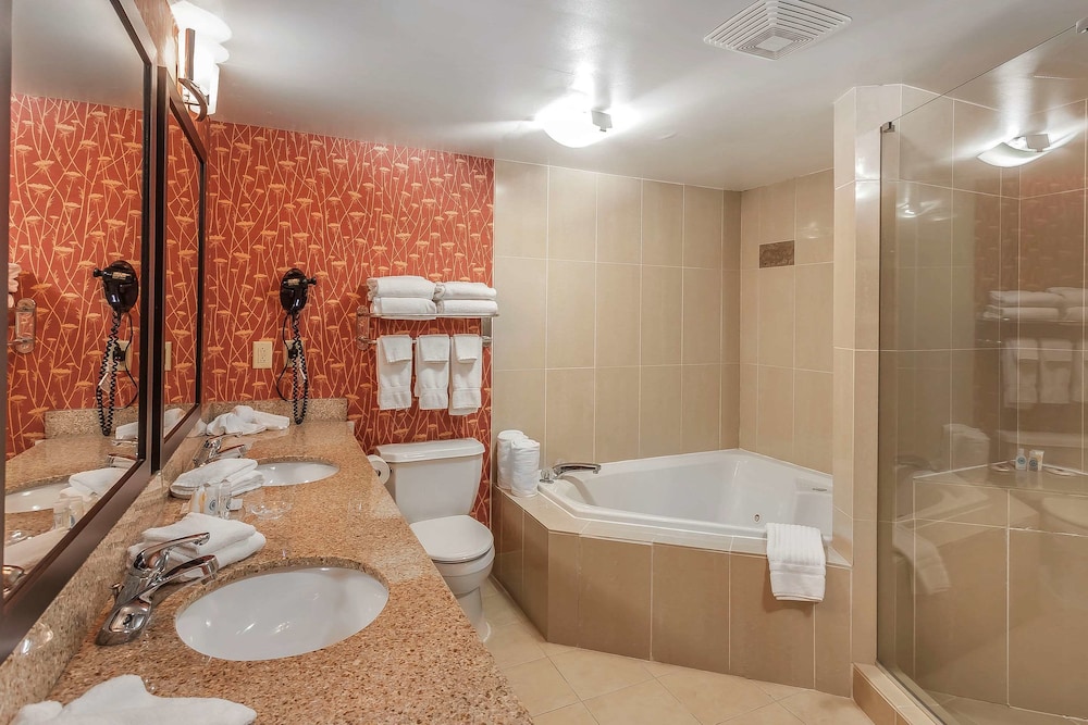 Comfort Suites Suffolk Chesapeake 14/47
