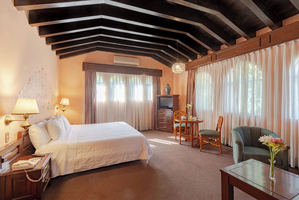 Suite, King Bed