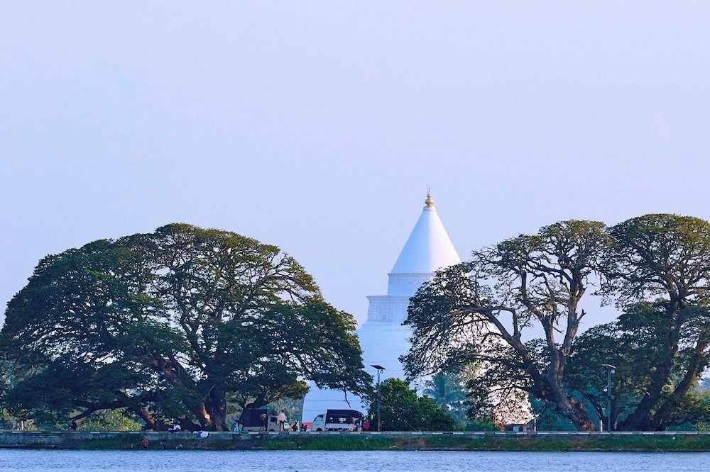 EKHO Safari Tissa 52/58