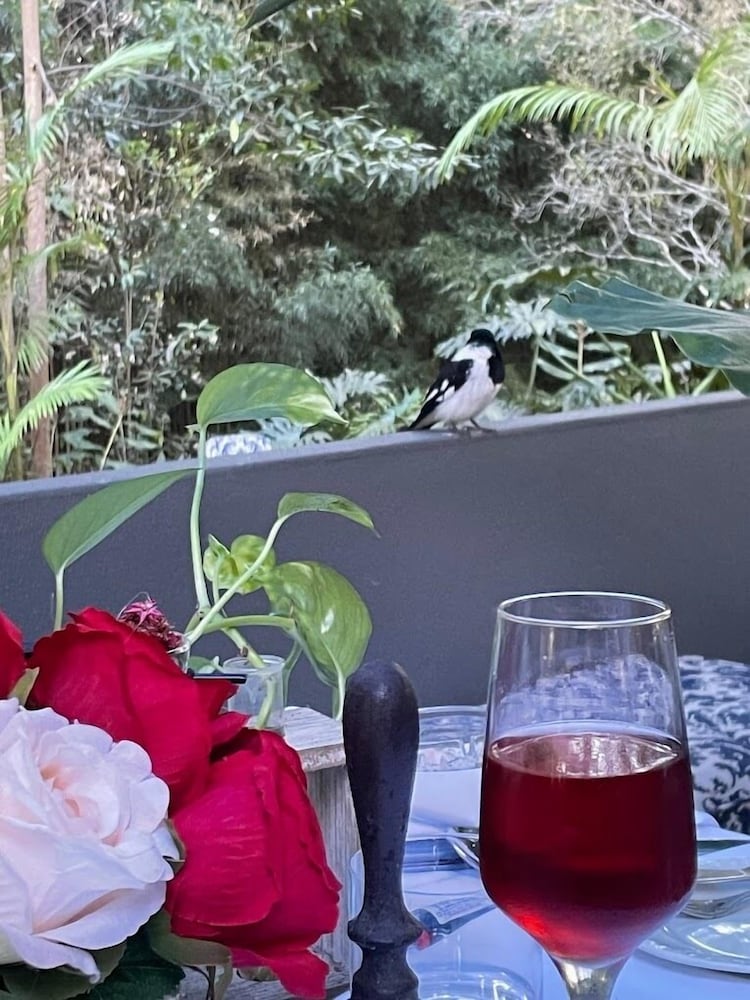 Songbirds Rainforest Retreat 13/50