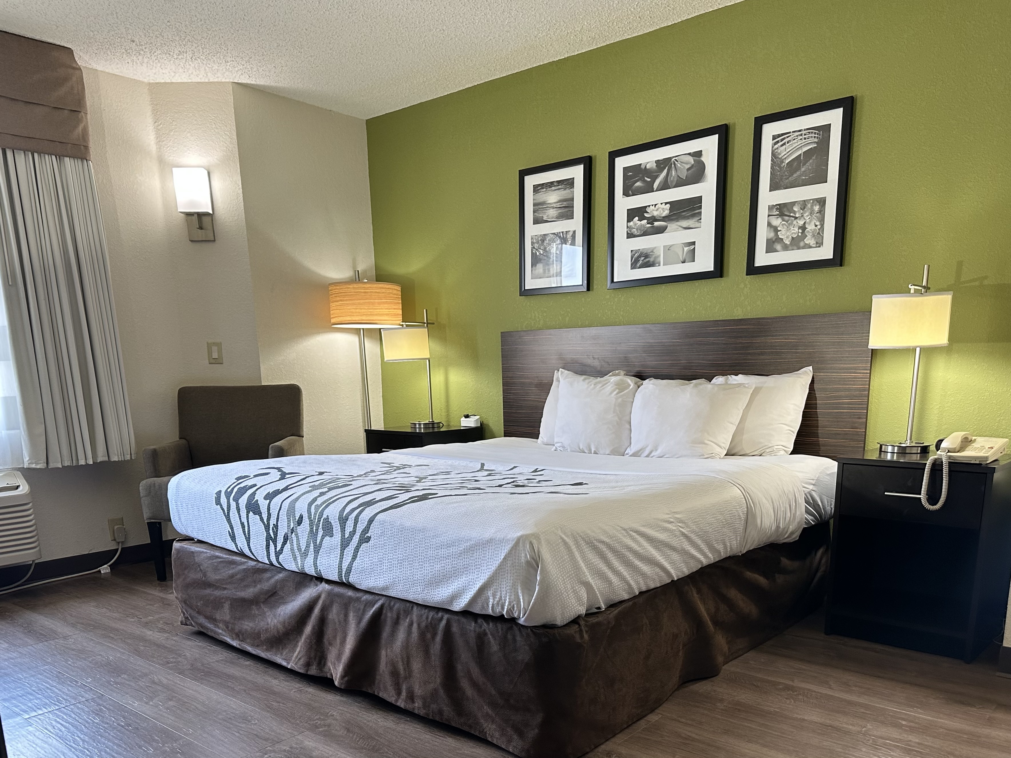 Room, Single, King or Queen Bed