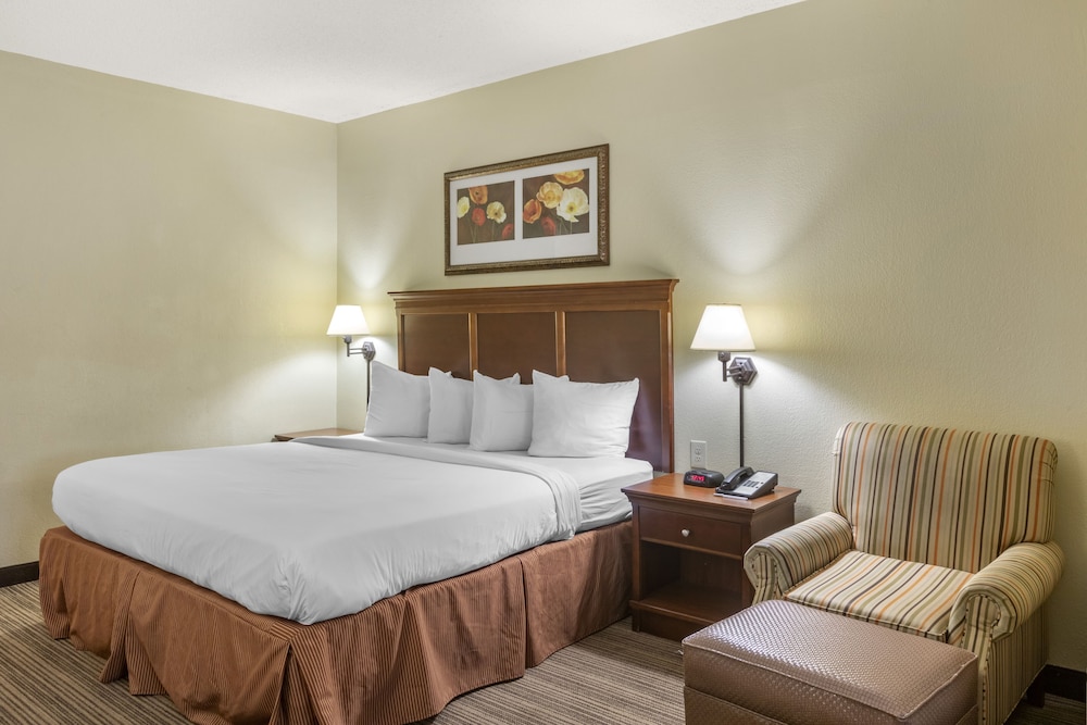 Country Inn and Suites By Radisson Atlanta Downtown 22/51