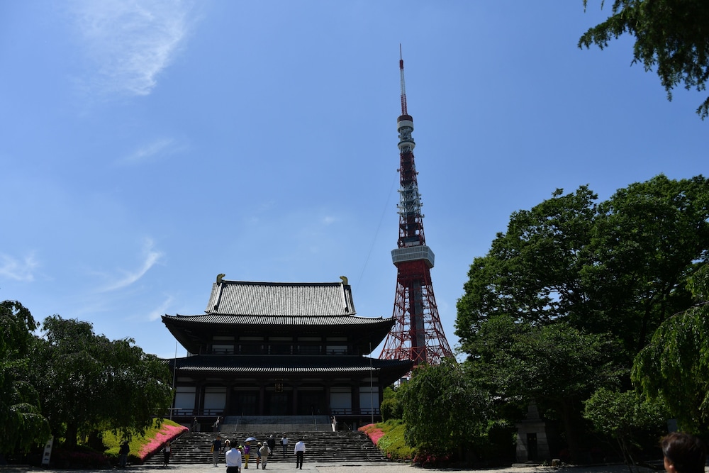 Sotetsu Fresa Inn Hamamatsucho Daimon 7/46