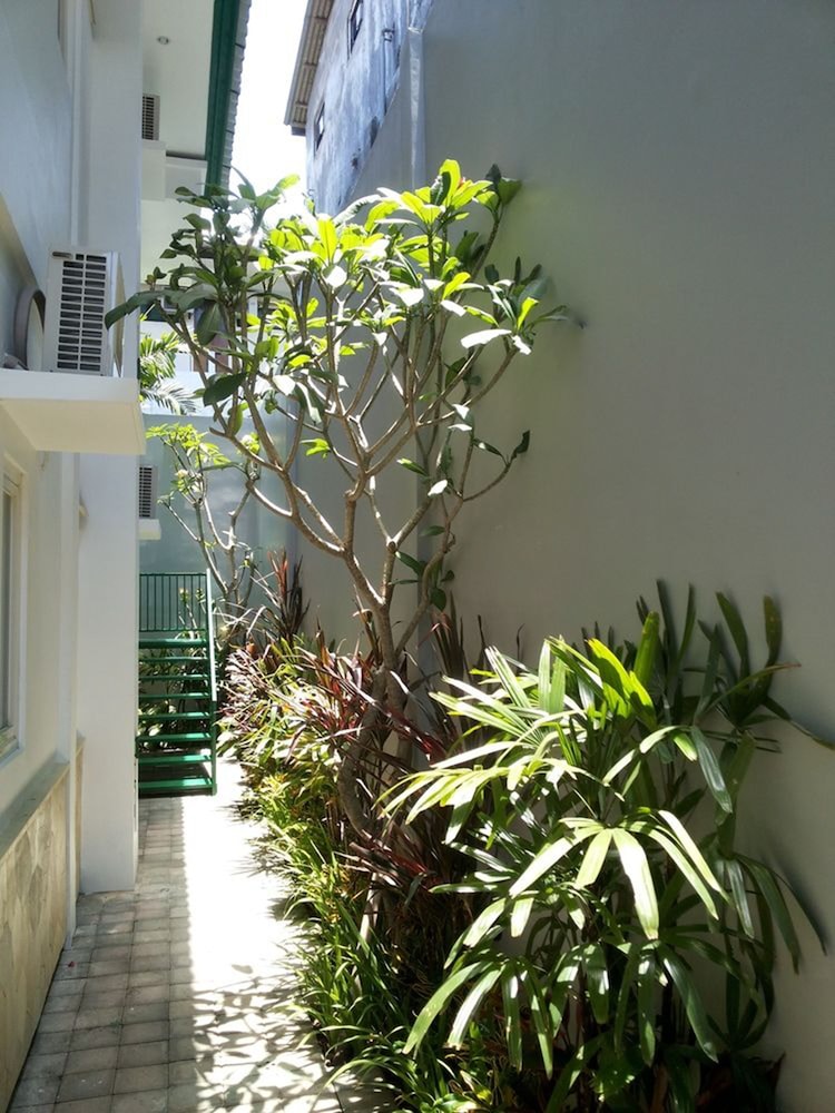 Ara Inn Bed and Breakfast 19/21