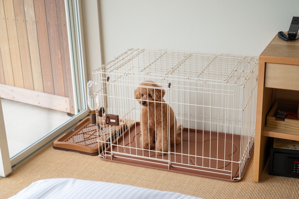 KAMOME SLOW HOTEL the COMPACT 19/40
