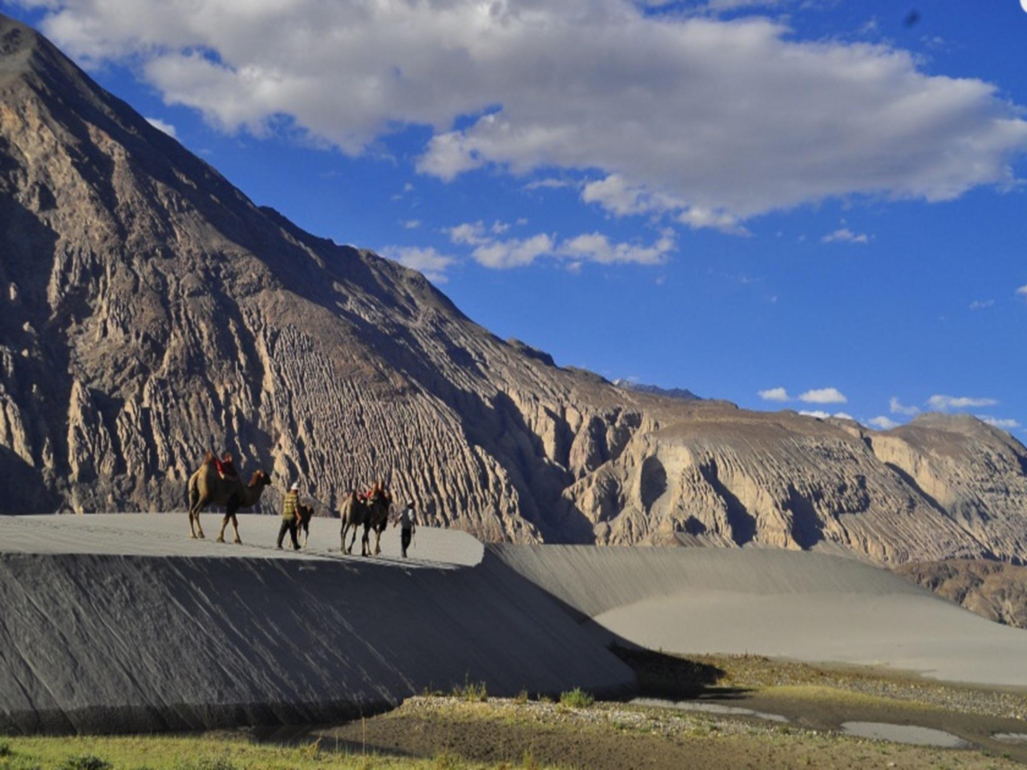 Himalayan Eco Resort 11/24