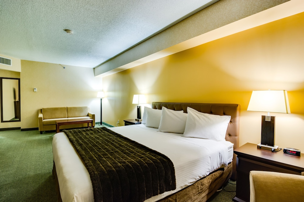 Sawridge Inn Edmonton South 27/49