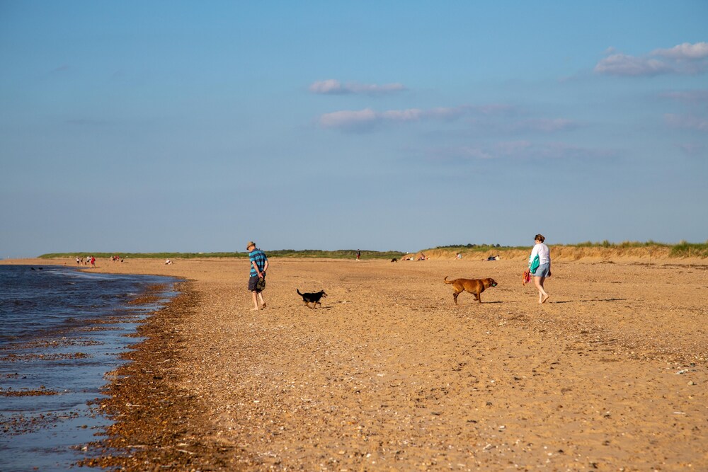 Norfolk Accommodation - mYminiBreak 44/50