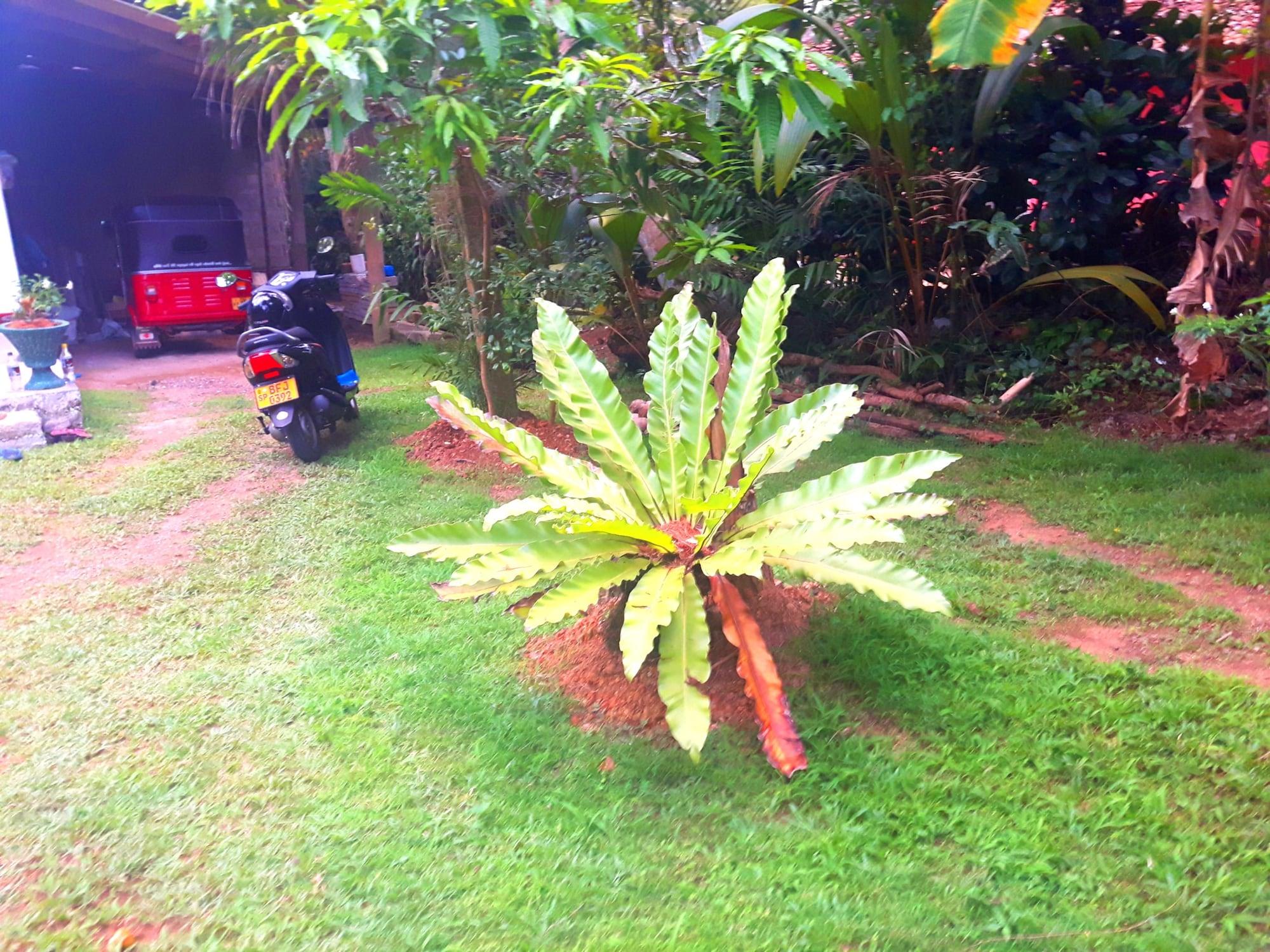 Nadee Villa Guest House 13/19