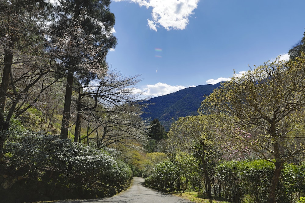 Okuyugawara Onsen Hotel Sansuirou 44/50