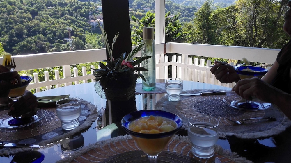 Neitas Nest Jamaican Bed And Breakfast 14/22