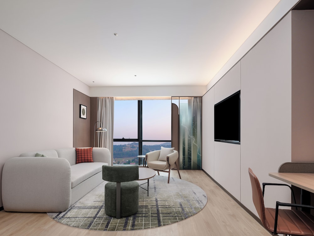 Hilton Garden Inn Mianyang Santai 31/48