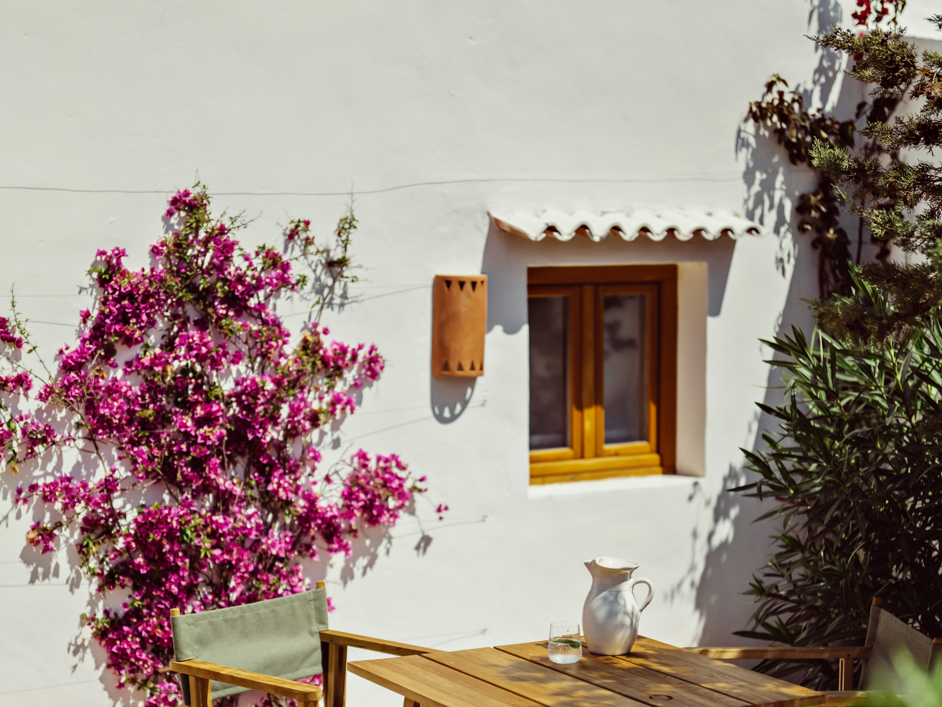 Petunia Hotel Ibiza 9/50