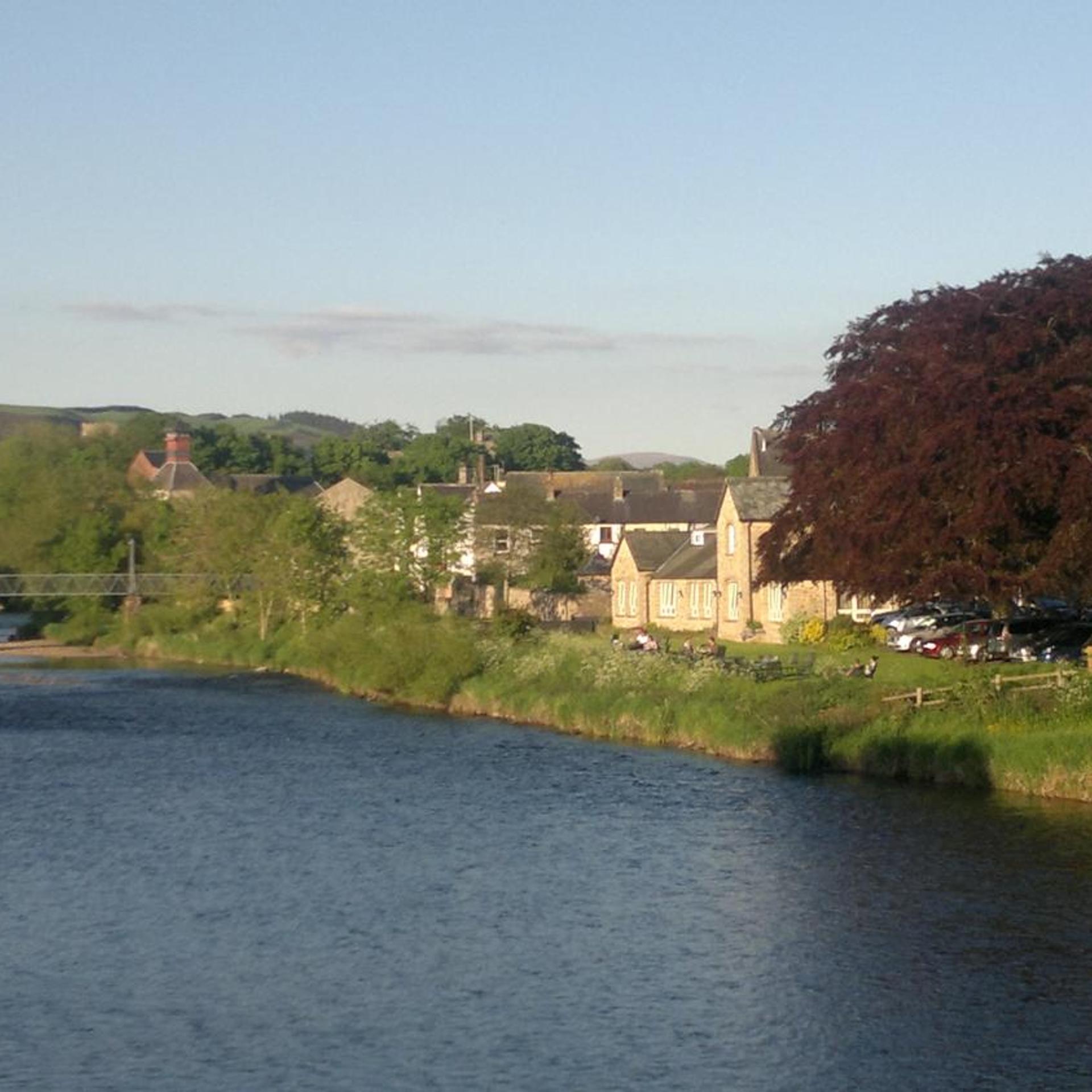 Trout Hotel 41/49