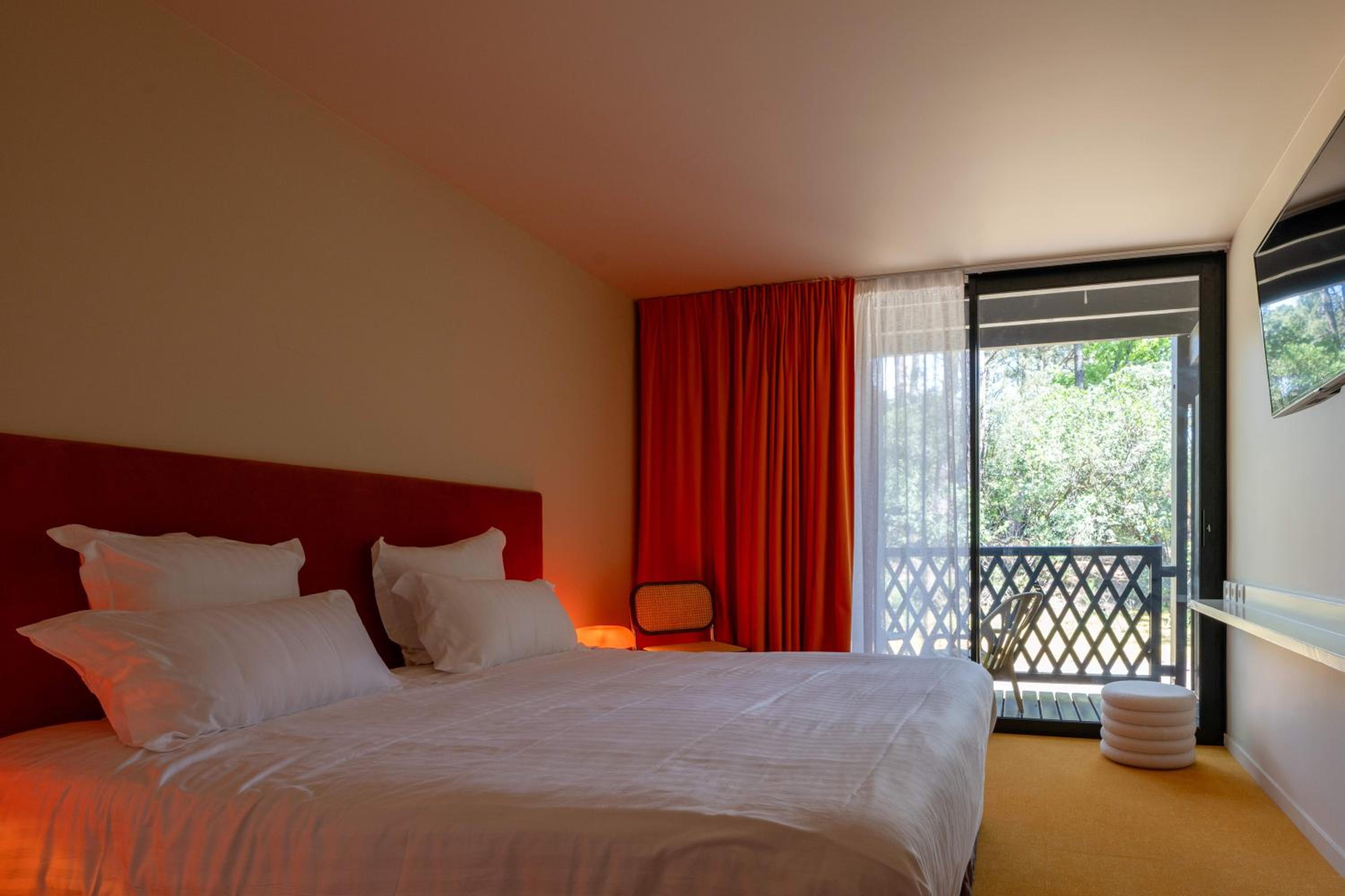 Standard, Double Bed, Forest View