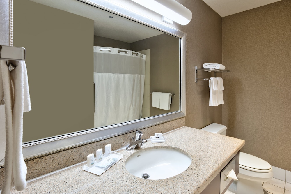 Holiday Inn Hotel And Suites 66/66