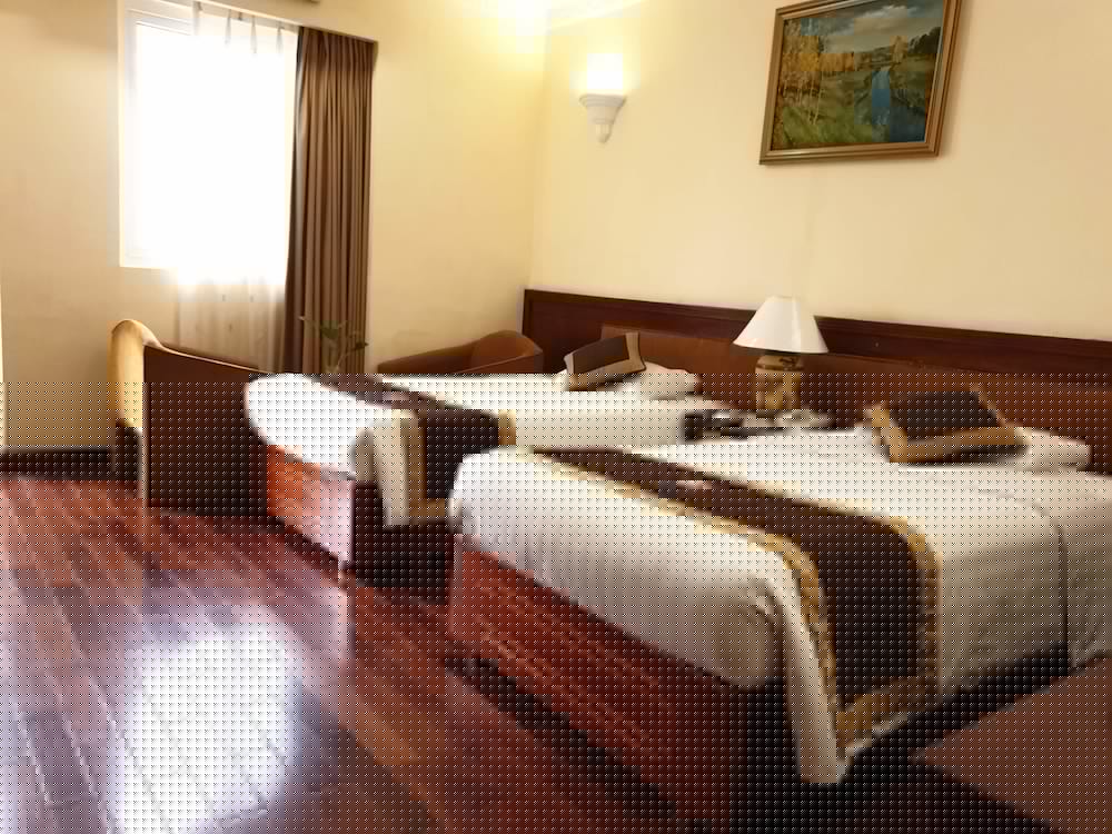 Huong Sen Hotel 10/71