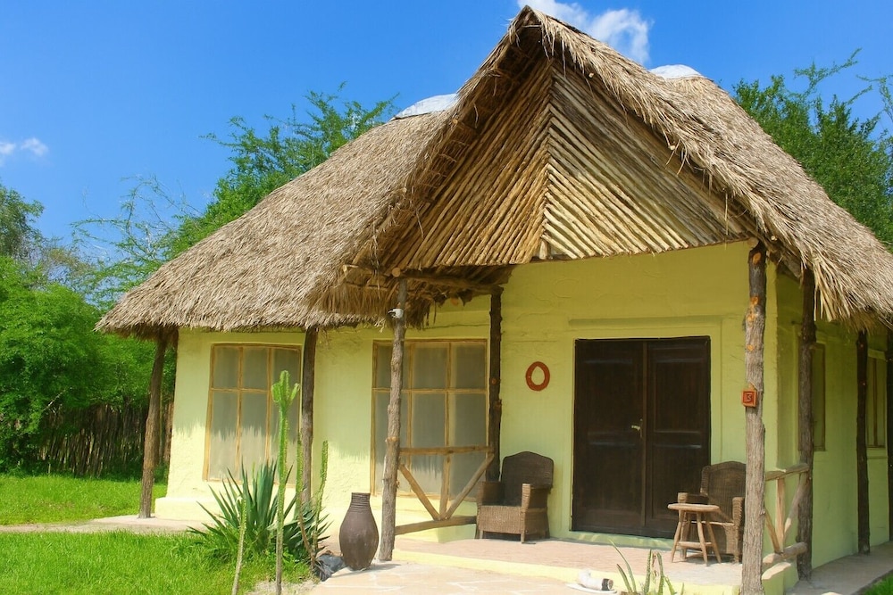 Africa Safari Camp 2/50