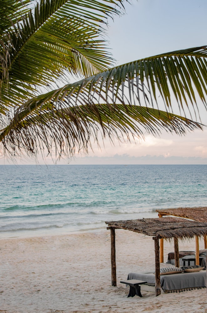 NEST Tulum 45/50