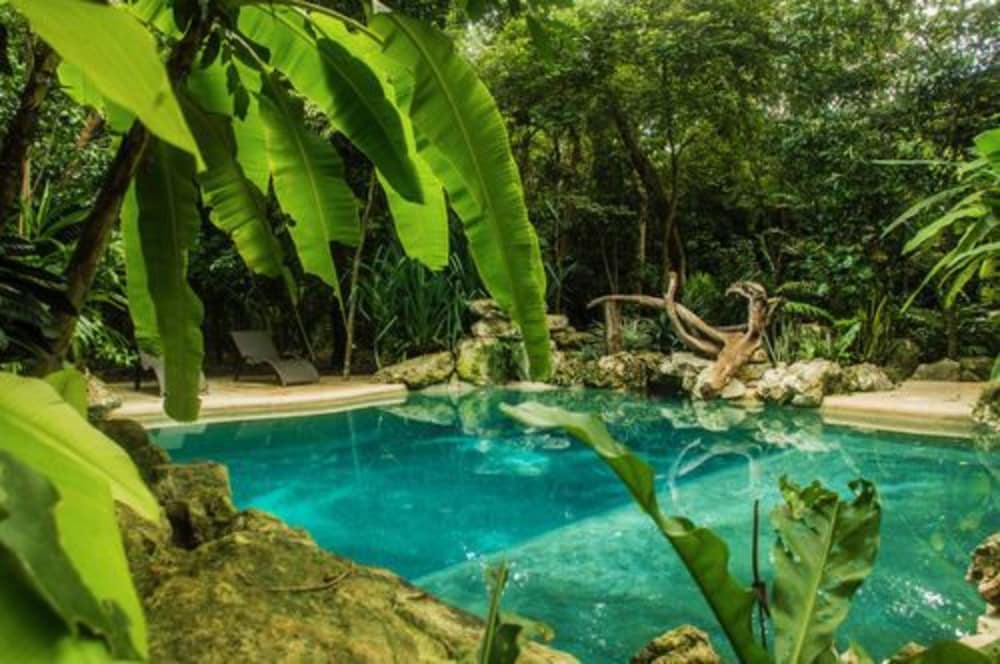 Reserva Ecologica Hacienda Cancun 17/24