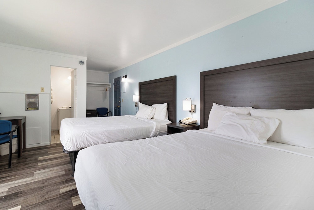 Snyder Apos S Shoreline Inn 15/73